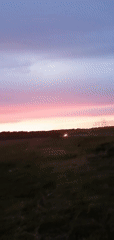 Rural twilight scenes and Bengal cat captured by witnesses