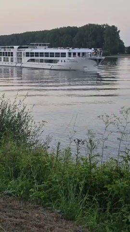 A white river cruise ship is shown traveling from left to right across the screen on a wide, calm river. The ship has multiple decks and many windows. The background consists of a treeline along the opposite bank of the river, under a hazy sky. In the foreground, the edge of a grassy riverbank with various green plants is visible. The video is a still shot of the river and the ship.