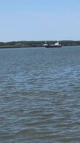 A ship travels on a wide body of water with a treeline in the background. The sky is clear and blue.