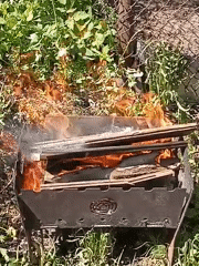 Family gathering with barbecue documented in Chaikovsky, Russia
