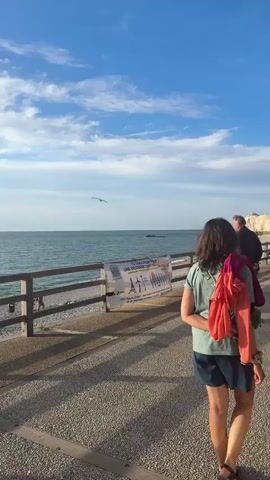 A vertical video shows a section of a beach promenade with a wooden railing. A white banner is attached to the railing, displaying text and images in French. The text mentions "UNE DEUXIEME ZONE INDUSTRIELLE" (A SECOND INDUSTRIAL ZONE) and compares it to "175 'Tours Eiffel'" (175 Eiffel Towers). The banner also features images of the Eiffel Tower, wind turbines, and a QR code. In the background, the ocean stretches out under a blue sky with scattered clouds. Several people are visible walking on the promenade and on the beach. A seagull flies across the frame. A small rocky outcrop is visible in the water. In the distance, several wind turbines are also visible in the ocean. The video pans slightly to the left and right, showing different perspectives of the scene. The lighting suggests it is daytime, likely late afternoon or early morning due to the angle of the sun.