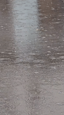 Heavy rain creates ripples on Moscow pavement surfaces