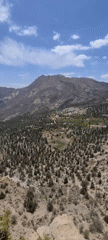 Morning sightseeing and landscape documentation in Ziarat, Pakistan