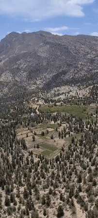 Morning sightseeing and landscape documentation in Ziarat, Pakistan