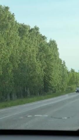 A forward-facing dashboard camera captures a view of a road lined with trees. A black car approaches and passes in the opposite lane, followed by a black van. The road has some patches and ripples. The sky is clear.