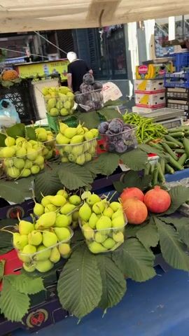 This video captures a vibrant outdoor market scene, likely in Üsküdar, Turkey, filled with a colorful array of fresh produce. The subjects are primarily vendors and shoppers, though most faces are not clearly distinguishable. A variety of fruits and vegetables are the main objects on display, meticulously arranged on tables under a white awning.

The scene is set at a bustling marketplace, suggested by the presence of multiple stalls, crates, scales, and the general atmosphere of commerce. The time of day appears to be daytime, with bright lighting illuminating the produce. The weather seems pleasant for an outdoor market.

Prominent items include:
*   **Tomatoes:** Piles of ripe red tomatoes are a focal point, with some labeled.
*   **Peppers:** Long green and red peppers are abundant, displayed in various containers.
*   **Cucumbers:** Fresh green cucumbers are neatly arranged.
*   **Plums:** Dark purple plums are shown in baskets.
*   **Pomegranates:** Several bright red pomegranates are visible.
*   **Mushrooms:** Baskets of mushrooms, both white and brown, are presented.
*   **Green Beans:** Bundles of fresh green beans are featured.
*   **Radishes:** Bunches of red radishes are on display.
*   **Lemons:** A single yellow lemon is noticeable.

There are several signs with Turkish text, indicating prices and types of produce:
*   One sign reads "ÇANAKKALE LEZZETİ DOMATES" with a price of "100".
*   Another sign says "PEMBE LEZZETLİ" and "150".
*   A sign near the green beans and radishes indicates "Taze Taze" and "250".
*   Another sign with a picture of plums has text that is partially obscured but includes "ACE".
*   Further back, a sign reads "CENGELKÖY NAHRIYE".
*   Another sign near the green beans reads "GÜZEL YURT".

The activity taking place is the sale of fresh produce, with vendors interacting with customers and arranging their goods. The overall emotion conveyed is one of abundance, freshness, and the lively atmosphere typical of a local market.