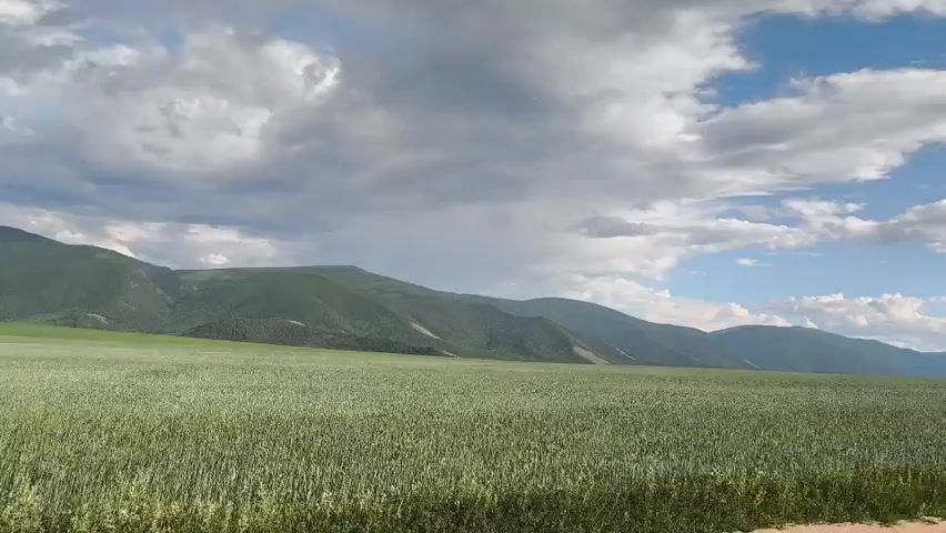 A wide shot of a vast green field with undulating mountains in the background under a partially cloudy sky. The field appears to be a crop, possibly wheat, and is swaying in the wind. The mountains are covered in green vegetation. The clouds are a mix of white and dark gray, suggesting potential for rain in the distance. The camera is static. There are no people or animals visible. The lighting suggests it is daytime.