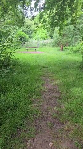 A first-person perspective video shows a dirt path winding through a grassy area with trees and foliage. A wooden picnic table with metal legs is visible in the distance on the left side of the path. The sun is not visible, but there is ample daylight. The video is very stable and shows no signs of movement beyond walking.