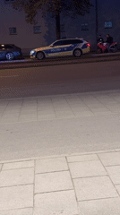 Munich evening scenes: police presence, indoor florals, spring blooms