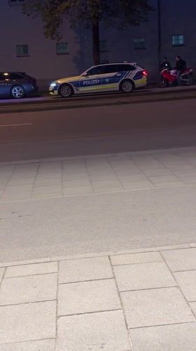 Munich evening scenes: police presence, indoor florals, spring blooms