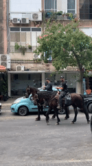 Horses in the street, feet in the sand — a Tel Aviv morning