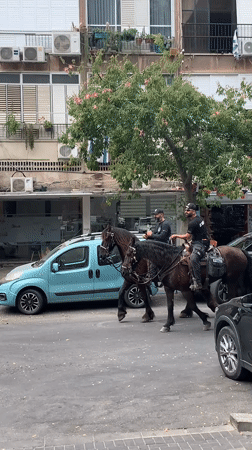 Horses in the street, feet in the sand — a Tel Aviv morning