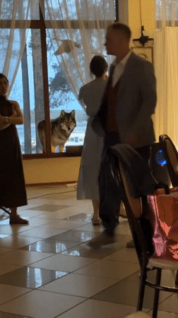 Live music performance draws audience in Chaykovsky, Russia