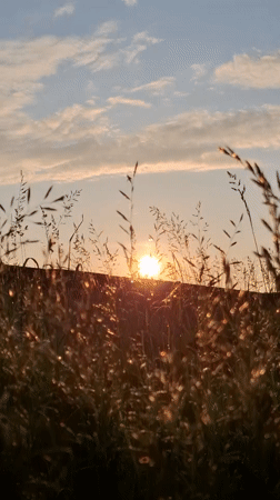 Everyday life in Chaikovsky, Russia, one summer night