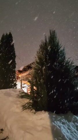 The scene is an outdoor winter night. Large snowflakes fall densely against a dark sky. In the foreground, there is a deep snowdrift, and in the background, two coniferous trees. The outlines of a building can be seen, lit from within, between the trees. A wire stretches through the scene, partially obscured by the falling snow.