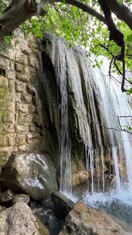 The camera looks up at a short waterfall cascading down a stone wall. A tree with green leaves frames the scene on the right side, with branches reaching towards the top of the frame. The water rushes over the edge and splashes into a small pool below, surrounded by rocks. The scene is peaceful and green, giving a natural, calming feel.