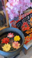 Daily life documented in Dharamshala's Buddhist community over morning hours