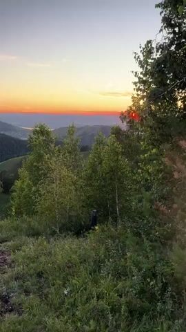 The video shows a sunset over rolling hills and a forest. The sun is low on the horizon, casting a warm orange and pink glow across the sky. The trees in the foreground are lush and green, with the leaves rustling gently in the breeze. In the distance, there are glimpses of a town or village nestled in the valley. The overall impression is one of peace and tranquility.