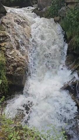 A video shows a waterfall cascading over rocks and down a ravine. Green foliage and plants grow on the rocky slopes surrounding the waterfall. The water is white and frothy as it tumbles down, indicating a vigorous flow. The scene is outdoors, suggesting a natural environment.