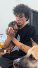 Afternoon puppy playtime on Tel Aviv patio with snacks