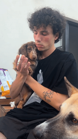 Afternoon puppy playtime on Tel Aviv patio with snacks