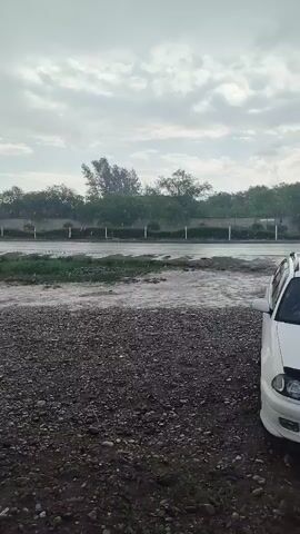 The video captures a rainy day scene. In the foreground, a gravelly surface is visible with a small section of patterned paving stones. A white car is partially visible on the right side of the frame. The middle ground shows a wet, reflective surface, possibly a road or flooded area, with raindrops creating ripples. Beyond this, a line of trees forms a backdrop, with some trees appearing to sway in the wind. A low wall or fence runs along the edge of the trees. The sky is overcast with scattered clouds. In the distance, a white car is seen driving on the wet road, kicking up spray. A circular purple sign with a white letter "w" is visible hanging from a pole on the left side of the frame.