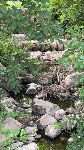 The video shows a small, shallow stream flowing through a wooded area. Large rocks line the stream bed, and debris, including branches and plastic, is caught on the rocks. Lush green foliage, including large-leafed plants and trees, overhangs the stream, creating a dappled light effect. In the background, a stone structure or embankment is visible, constructed from large, irregular stones. The overall scene suggests a natural, somewhat overgrown environment with evidence of human impact in the form of litter.