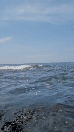 Morning on Jeju's rocky coast — running, riding, and sea air
