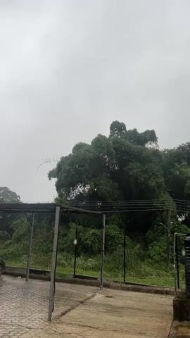 The video shows a panoramic view of an outdoor area on a cloudy day. In the foreground, there is a paved area with what appears to be cobblestones or bricks, possibly a pathway or courtyard. To the left, there is a covered structure with metal supports and a roof, suggesting a carport or shelter. Behind this structure, there is a dense cluster of lush green trees, their branches reaching upwards. To the right, a large black water tank sits on a concrete base. Further to the right and in the background, a tall, dark metal structure supports two large black water tanks at its summit. This structure appears to be a water tower. The ground around the water tower and tanks is also paved and appears wet, suggesting recent rain. The overall environment is green and somewhat overgrown, with trees and vegetation dominating the landscape. The sky is overcast and grey.
