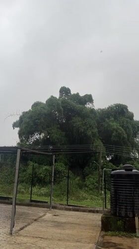 Ife, Nigeria
