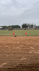 Horse training session observed at Rigachikun riding facility