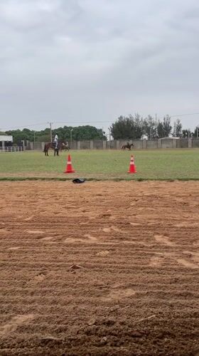 Horse training session observed at Rigachikun riding facility