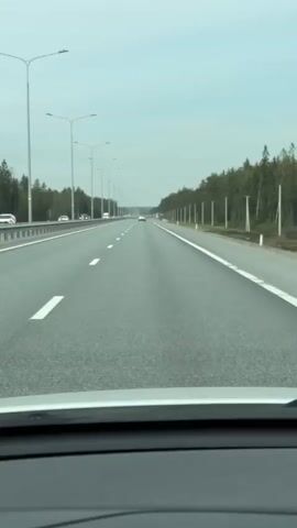 The view from inside a moving car shows a straight, paved highway with multiple lanes. The road is lined with lampposts on both sides, and a forest borders the highway. There are a few other cars on the road, some moving in the same direction and others in the opposite direction. The sky is overcast. The dashboard of the car is visible in the foreground.