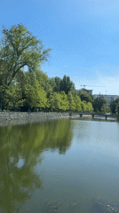 Morning scenes captured around Ternopil Lake waterfront park