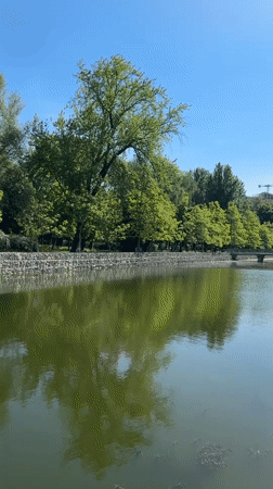 Morning scenes captured around Ternopil Lake waterfront park