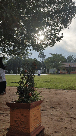 Rural Indonesia scenes captured in Blangriek and Lhokjok villages