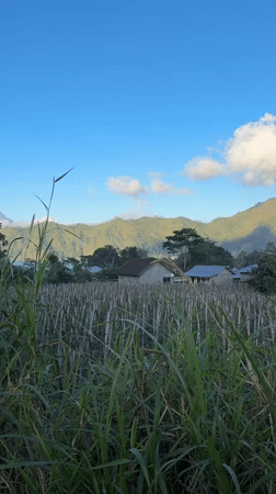 Tourist documents mountain resort landscapes in Kintamani, Indonesia