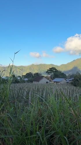 Tourist documents mountain resort landscapes in Kintamani, Indonesia