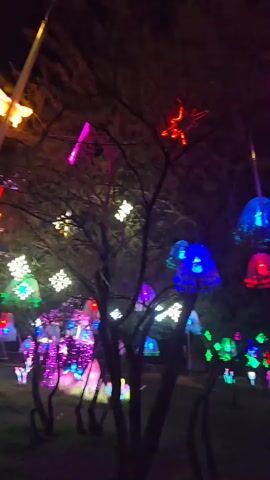 The camera looks up into a night sky above a park-like area decorated with neon lights. The foreground is dominated by tree branches in silhouette, through which can be seen an array of lights, including multi-colored jellyfish-shaped lights hanging from the tree branches, star-shaped lights in pink, red, and other colors, and rows of bright colors along the ground, like a boardwalk. A few people are seen walking on the ground.