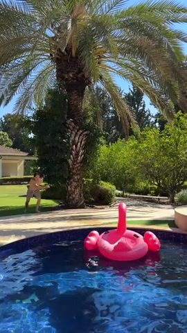 A man in swim trunks jumps into a swimming pool. He lands on an inflatable pink flamingo float, causing a splash. The pool is surrounded by a stone deck, a grassy lawn, palm trees, and other green foliage. The sky is blue and sunny.