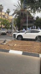 Jerusalem Day parade celebrates in Raanana streets