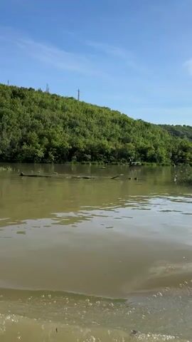 The video shows a body of water, possibly a river or a lake, from a moving boat. The water is murky and brown, and there are visible ripples and waves being generated by the vessel. The banks of the water body are covered with dense green vegetation and trees. In the background, the hills are similarly covered in greenery. The sky is blue with some scattered clouds. The video appears to have been taken during the daytime under clear weather conditions.  Electrical towers are visible on a hillside.