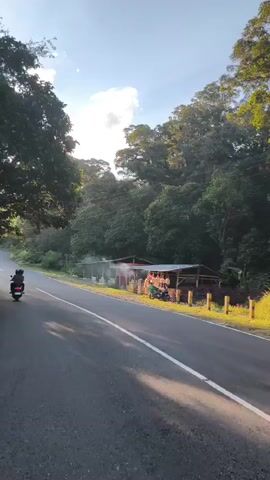 A motorcycle is seen driving on a paved road bordered by trees. On the right side of the road, there is a roadside stall with several items for sale, including what appear to be barrels or containers. The sun is shining brightly, casting long shadows and creating a lens flare effect. The sky is clear with a few clouds. The overall atmosphere is serene and natural.