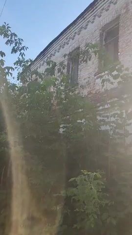 A video shows the side of an old, abandoned brick building. The building appears to be two stories tall and is covered in white paint that is peeling off. There are several windows on the side of the building, some of which are broken or boarded up. Lush green foliage is growing up around the building, partially obscuring it. Sunlight streams in from the right side of the frame, creating lens flare effects and illuminating the scene. The sky is visible at the top of the frame and appears to be clear. The overall impression is one of decay and neglect.