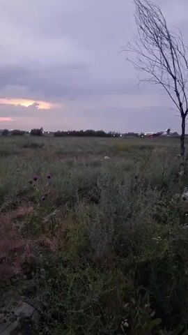 The video captures a rural field with tall grasses and some wildflowers in the foreground, set against a dusky sky with hints of sunset colors. In the background, an airport tarmac is visible, with an airplane, possibly on a runway or taxiing, illuminated by its lights. The overall scene suggests dusk or early evening, with a peaceful and slightly melancholic atmosphere. The weather appears to be clear, typical for a rural evening. The location context indicates Гүлдала, Kazakhstan, which is near an international airport, explaining the presence of the aircraft. There is no visible text in the media file.