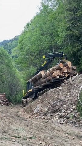 The video shows a large logging machine with a hydraulic arm and a load of logs on a dirt road next to a pile of dirt and rocks. The machine is angled uphill.  The surrounding environment includes a lush green forest on a hillside. There is a pile of logs in the distance. The sky is overcast.