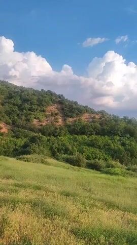 This is a vertical video of a serene landscape. The foreground is dominated by a lush, green meadow with tall grasses swaying gently. In the mid-ground, a hillside covered in dense, green foliage rises, with patches of exposed earth and rocks visible. Beyond the hillside, a vast valley unfolds, dotted with trees and hazy in the distance. Majestic mountains form the backdrop, their peaks softened by atmospheric perspective. The sky is a canvas of blue, streaked with dramatic, cumulus clouds that catch the light.

The time of day appears to be late afternoon or early evening, as suggested by the soft, warm light illuminating the clouds and landscape. The weather seems pleasant, with a gentle breeze implied by the movement of the grass and the fluffy clouds. The overall mood is one of tranquility and natural beauty, evoking a sense of peace and vastness. The setting is clearly rural and mountainous, and the location cues strongly suggest the picturesque countryside of Spathades, Greece, known for its stunning natural landscapes. There is no visible text in the media file.