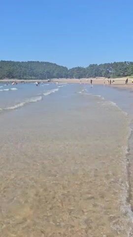 The video shows a view of a beach on a sunny day. The camera is positioned low to the ground, looking out towards the ocean. Gentle waves are rolling onto the sandy shore, and the water is clear, allowing the sandy bottom to be visible. In the distance, there are people swimming and wading in the water. Further back, a tree-covered hill forms the backdrop to the beach, with a clear blue sky above. The overall scene is one of a peaceful and pleasant beach day.