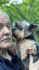 Elderly man enjoys picnic with Yorkshire Terrier in Trudovaya