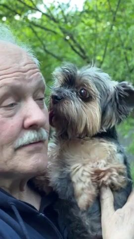 A medium shot shows an elderly man with a gray mustache holding a small Yorkshire Terrier type dog. The man has his eyes closed, and he's wearing a black jacket. He’s facing toward the left side of the frame. The dog is looking forward, occasionally sticking its tongue out. A hand comes into the frame and touches the dog's head. The background features green foliage, suggesting an outdoor setting.